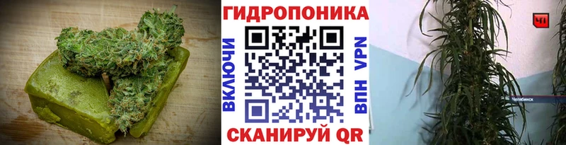 ОМГ ОМГ как войти  Кочубеевское  Cannafood марихуана 