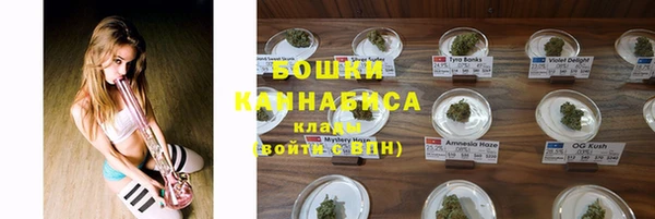 сатива Богородск
