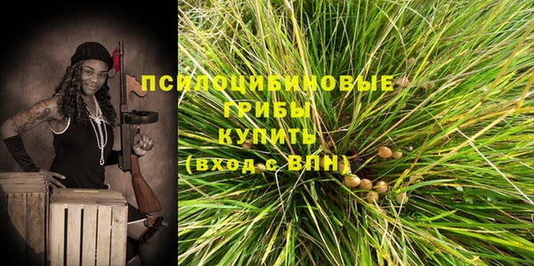 прущий лед Богородицк