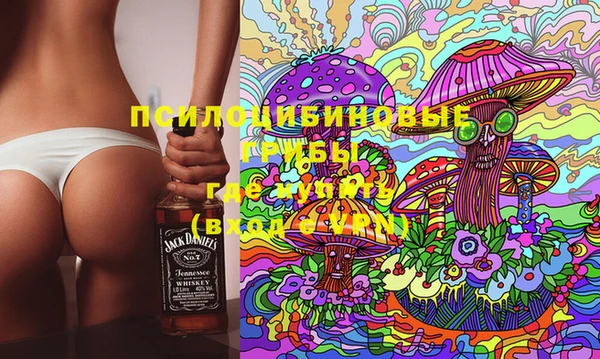 mdma Богданович